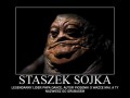 Sojka