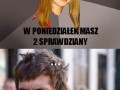 Studia bitch