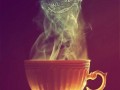Tea cat