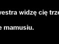 Sylwek