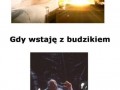 Pobudka