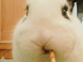 Want u see