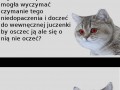 Zjarany kot pacz