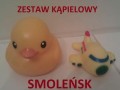 Zestaw polaka