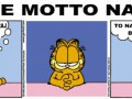 Motto na dziś