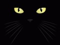 Meow