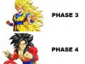 Ssj5