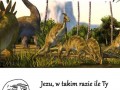 Ile ty musisz mieć lat