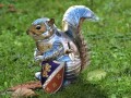 Sir wiewiór