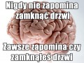 Wredny mózg