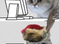 Cóż żem ja obaczył