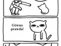 Kotek