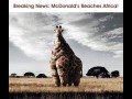 Mcdonald w Afryce