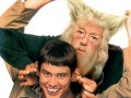 Dum dumbledore