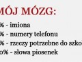 Mój mózg