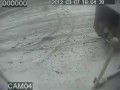 Jedyna słuszna reakcja