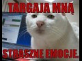 Emocje
