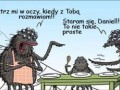 Pająki