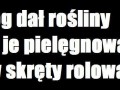 Rośliny