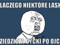 No właśnie dlaczego