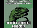 W którą stronę się obrócisz