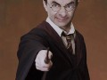 Harry Bean