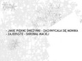 Śnieżynki
