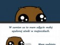 Sówka w majteczkach
