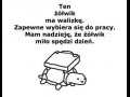 Mały żołwik
