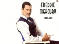 Freddie