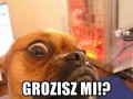 Grozisz mi