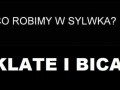 W Sylwka klata i bic