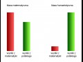 Mat vs human