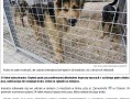 Jeśli uważasz że to bestialstwo
