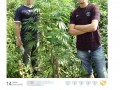 Zielarze