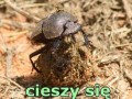Ze świata