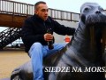 Siedze na morsie