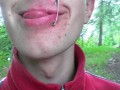 Lansik
