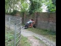 Spontanicznie pod płotem