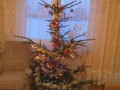 Choinka 2011