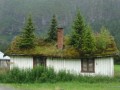 Oryginalnie na dachu