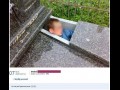 Fotka z pracy