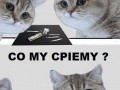 Co my ćpiemy