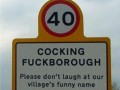 Cocking