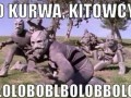 O kurwa kitowcy