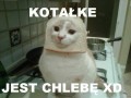 Kotałke jest chlebę
