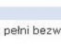 Mistrz ogłoszenia