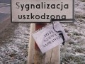 Polskie sygnalizacje