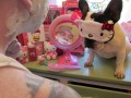 Fan hello kitty