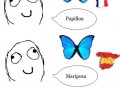 Motyl